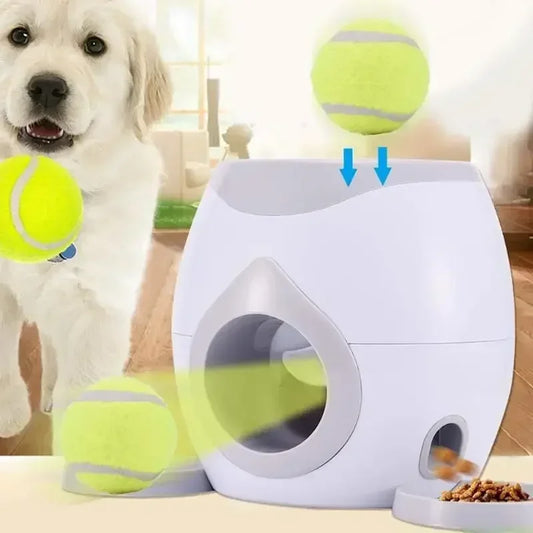 Fun Fetch Automatic Dog Feeder