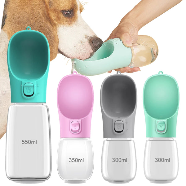 Pet Adventure Water Bottle